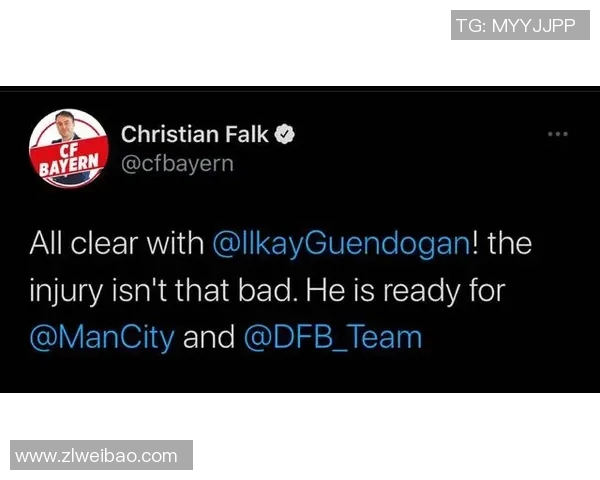 篮球赛事主场哨现象分析与影响探讨及其对比赛公正性的影响