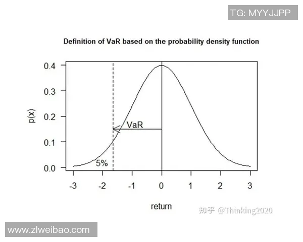 VAR技术在金融市场中的应用及其对风险管理的影响分析
